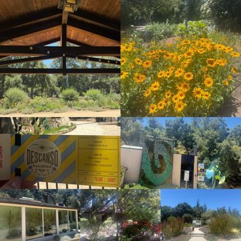 Descanso Gardens - Collage - Botanical Gardens Near Me - La Canada Flintridge, California Descanso Gardens - Collage - Botanical Gardens Near Me - La Canada Flintridge, California