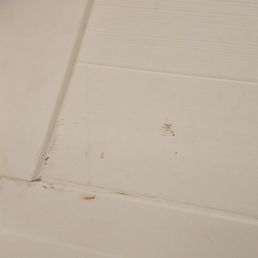 Stains in the shower, stains on sheets, bed bug