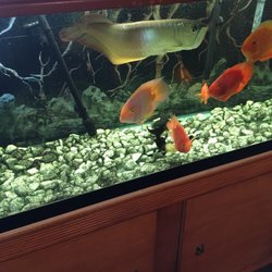 A9 Chinese Restaurant
