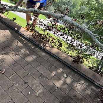 Gutter Goat - Pull the huge tree branch out the roof - Gutter Services Near Me Gutter Goat - Pull the huge tree branch out the roof - Gutter Services Near Me