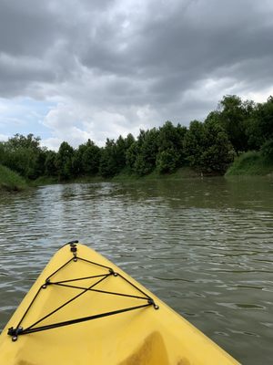 Bayou City Adventures by null