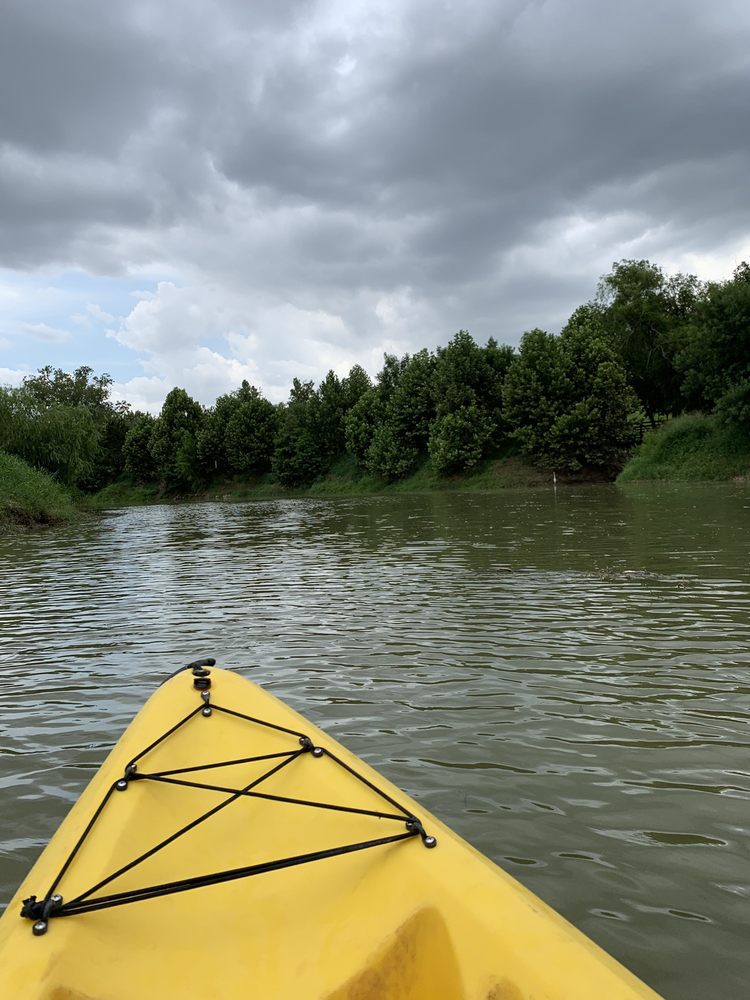 BAYOU CITY ADVENTURES 32 Photos & 22 Reviews 1520 Silver St