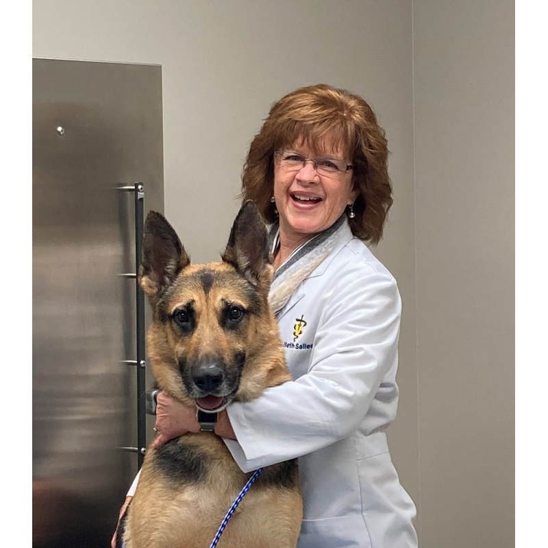 FORT HENRY ANIMAL HOSPITAL Updated September 2024 3786 Fort Henry Dr, Kingsport, Tennessee