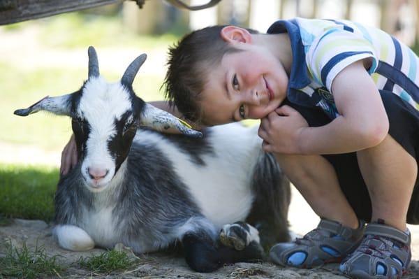 Center Parcs Les Trois Forêts by null