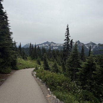 Mount Rainier National Park - Parks Near Me - Ashford, Washington Mount Rainier National Park - Parks Near Me - Ashford, Washington