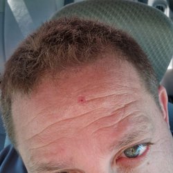 Great Clips