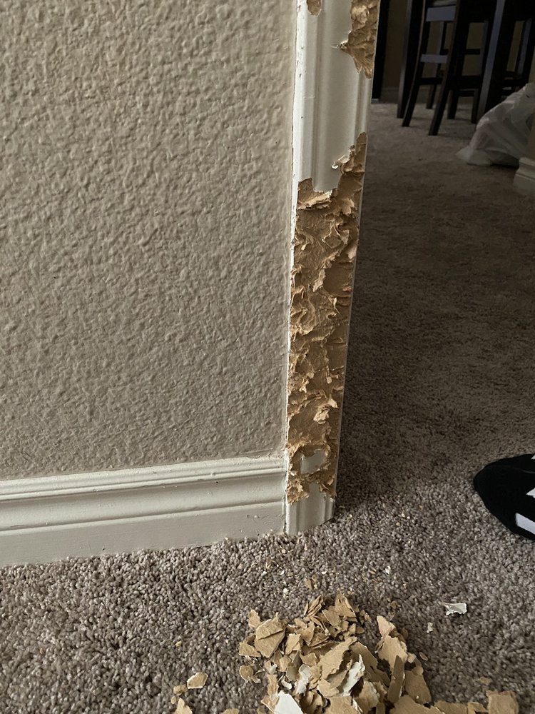 Slide of Trusted Handyman LV