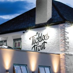 The Tickled Trout