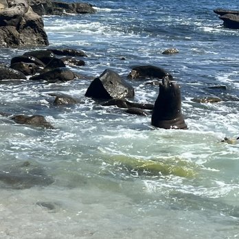 La Jolla Cove - Parks Near Me - La Jolla, California La Jolla Cove - Parks Near Me - La Jolla, California