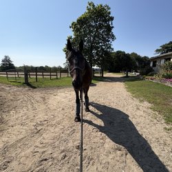 Knoll Farm