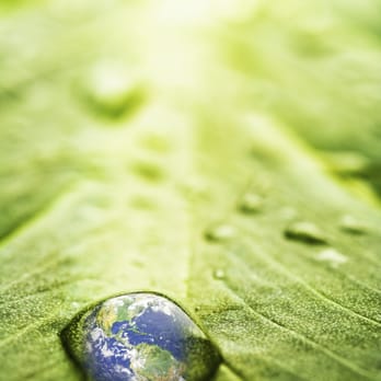 Oxi Fresh Carpet Cleaning - Carpet Cleaning Near Me Oxi Fresh Carpet Cleaning - Carpet Cleaning Near Me