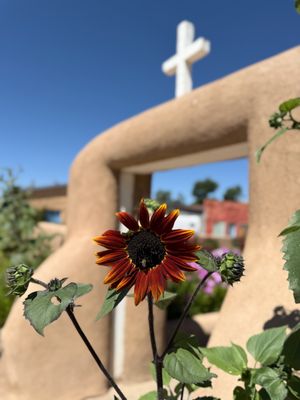 San Francisco de Asís Catholic Mission Church by null