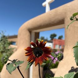 San Francisco De Asis Church