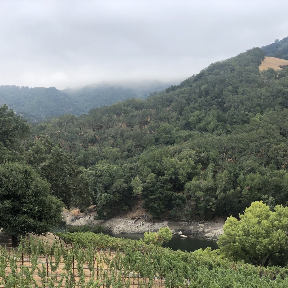 Alamitos Vineyards - Vineyards and reservoirs - Wine Tasting Room Near Me - San Jose, California