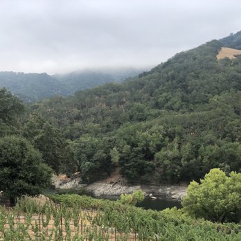 Alamitos Vineyards - Vineyards and reservoirs - Wine Tasting Room Near Me - San Jose, California