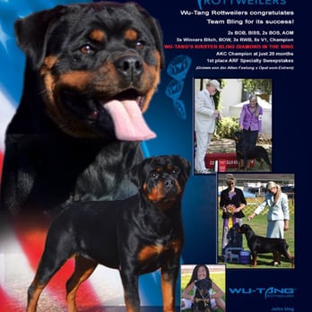 Wu-Tang Rottweilers - Wu-Tang's Rottweilers - Pet Stores Near Me - Sacramento, California Wu-Tang Rottweilers - Wu-Tang's Rottweilers - Pet Stores Near Me - Sacramento, California