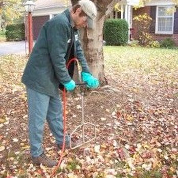 Bailey Tree - Tree Services Near Me - Englewood, Colorado Bailey Tree - Tree Services Near Me - Englewood, Colorado