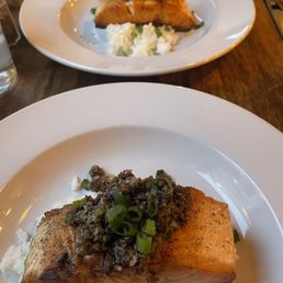 Salmon