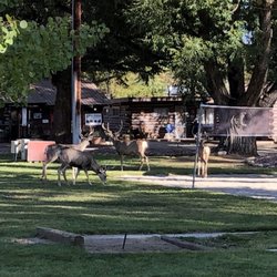 Hotels In Buena Vista Yelp