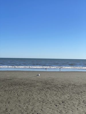 Kiawah Beachwalker Park by null