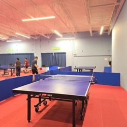 Cosports - Two tables for multi-ball training