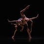 Photo of DanceAspen