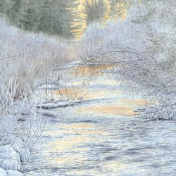 Jon Crane Gallery - Our Newest Release! Sunlight & Song!