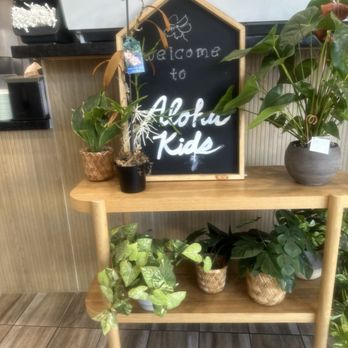 Aloha Kids - Plant display - Hawaiian Near Me - La Canada, California Aloha Kids - Plant display - Hawaiian Near Me - La Canada, California