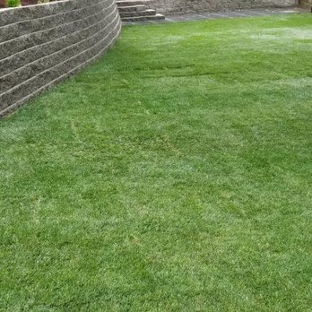 Nguyen Landscaping and Construction - Landscaping Near Me Nguyen Landscaping and Construction - Landscaping Near Me