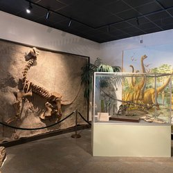 BYU Museum Of Paleontology