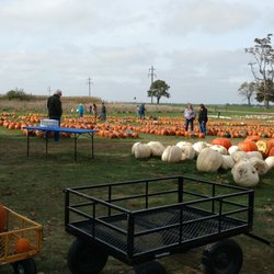 Negangard Pumpkin Patch
