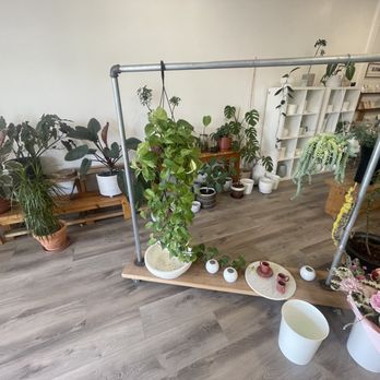 Bloom In Box - Live plants - Florists Near Me - La Palma, California Bloom In Box - Live plants - Florists Near Me - La Palma, California