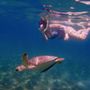 Photo of St Thomas Adventure Tours