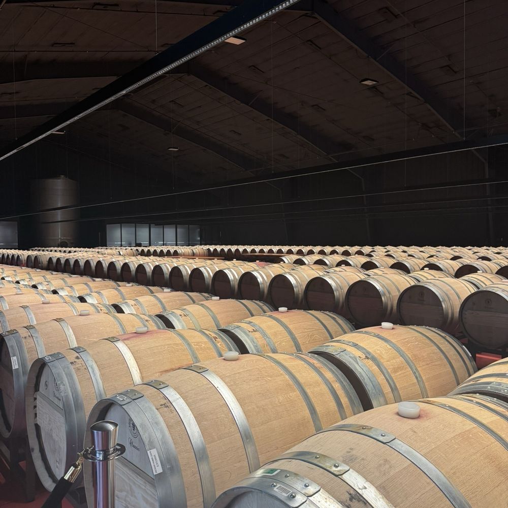 Caymus Vineyards - Wineries Near Me - Rutherford, California