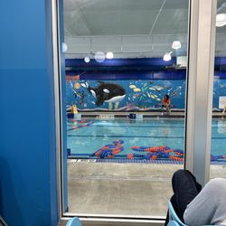 Goldfish Swim School - Gowanus