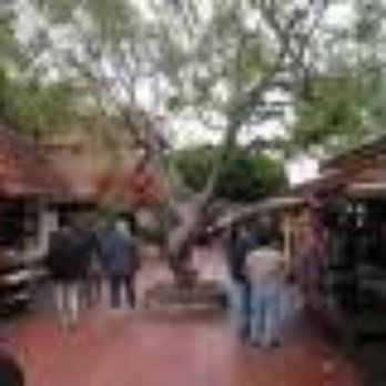 Olvera Street - Local Flavor Near Me - Los Angeles, California Olvera Street - Local Flavor Near Me - Los Angeles, California