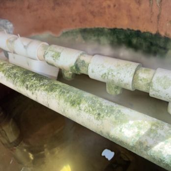 Twin Palms Inspections - Algae in aerator - Home Inspectors Near Me Twin Palms Inspections - Algae in aerator - Home Inspectors Near Me