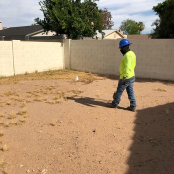 Moon Valley Nurseries - Before the planting, my back yard was empty and very hot (it is on the west side of the house)! - Nurseries & Gardening Near Me - Chandler, Arizona