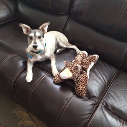 Freshly groomed!