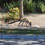 Photo of Coyote Creek Elementary