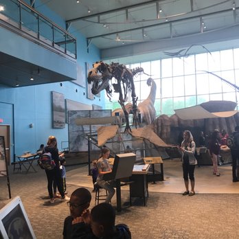Maryland Science Center - Museums Near Me - Baltimore, Maryland Maryland Science Center - Museums Near Me - Baltimore, Maryland