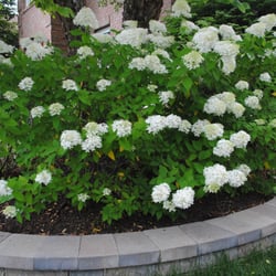 R&S Landscaping and Nursery - Flowers