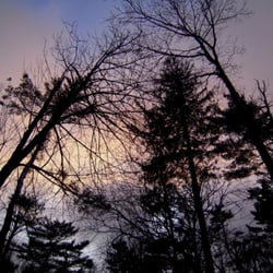 Point Pleasant Park