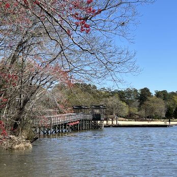 Acworth Beach - a look at the wood bridge through the spring blossoms - Beaches Near Me - Acworth, Georgia