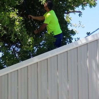 Kevins Tree Service - Tree Services Near Me - Terrell, Texas