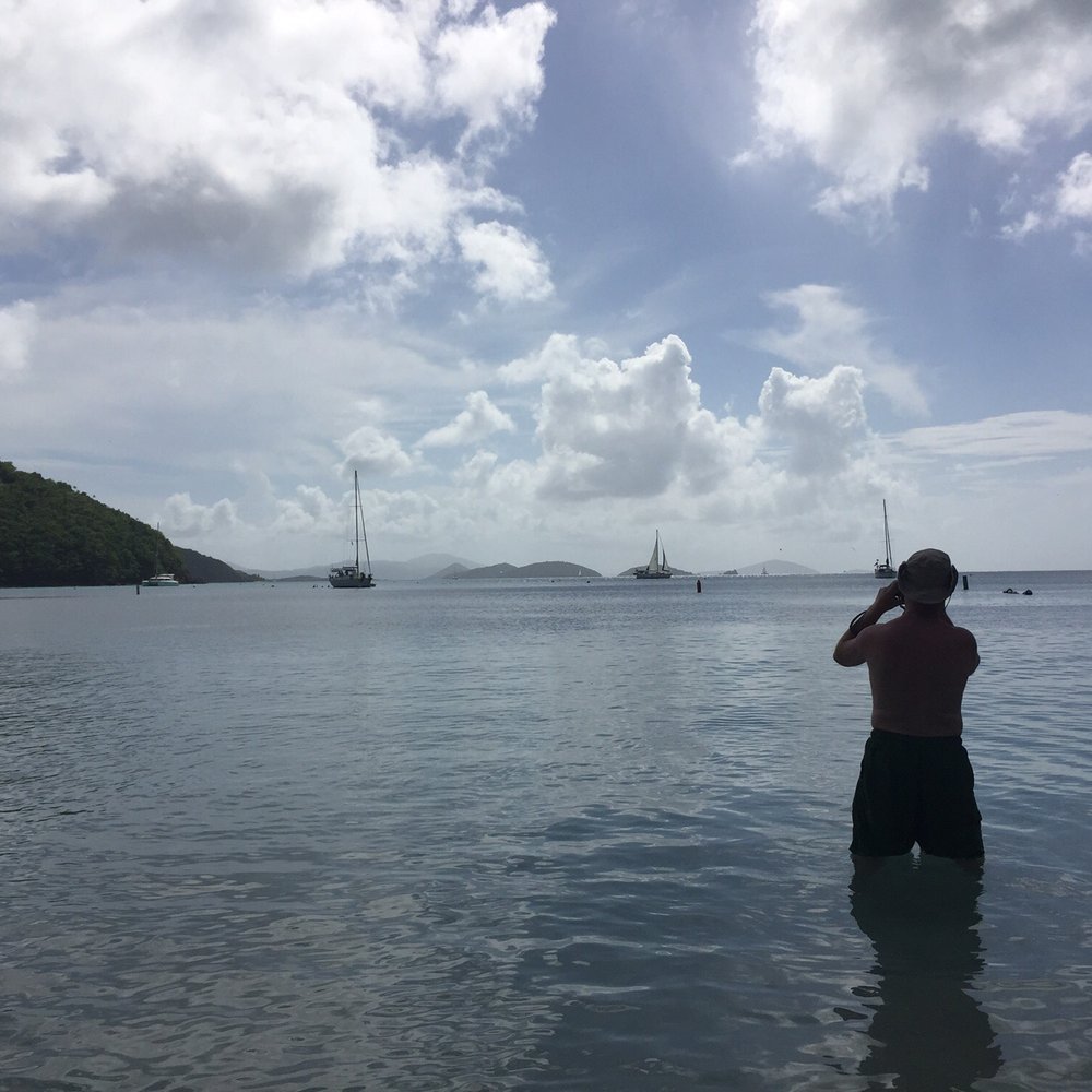 Maho Bay - Beaches Near Me - St John, Virgin Islands