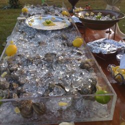 Bay Gourmet - Fresh Gulf Oysters on the Half Shell