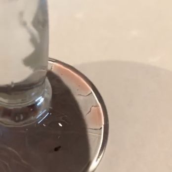 Sol Azteca - Dead cockroach in one glass and another dirty glass - Latin American Near Me - Olney, Maryland