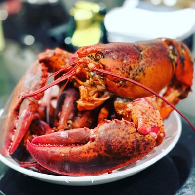 Chatham Pier Fish Market by null