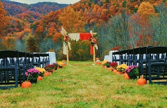 CORNELIA’S PLACE - Updated July 2025 - 19 Photos - 48 Reeves Home Pl ...